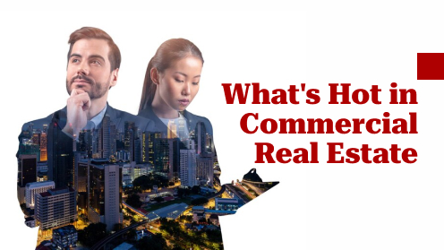 Finding Toronto Real Estate GEMS | What’s Hot in Commercial Real Estate